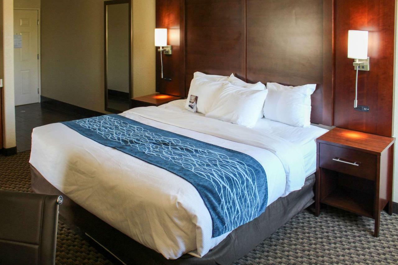 Comfort Inn & Suites Near Six Flags & Medical Center San Antonio Zewnętrze zdjęcie